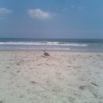 Ocean City Beach