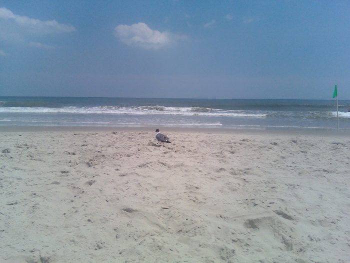 Ocean City Beach